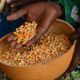 Peasant farmers: Don’t extend ban on exportation of grains